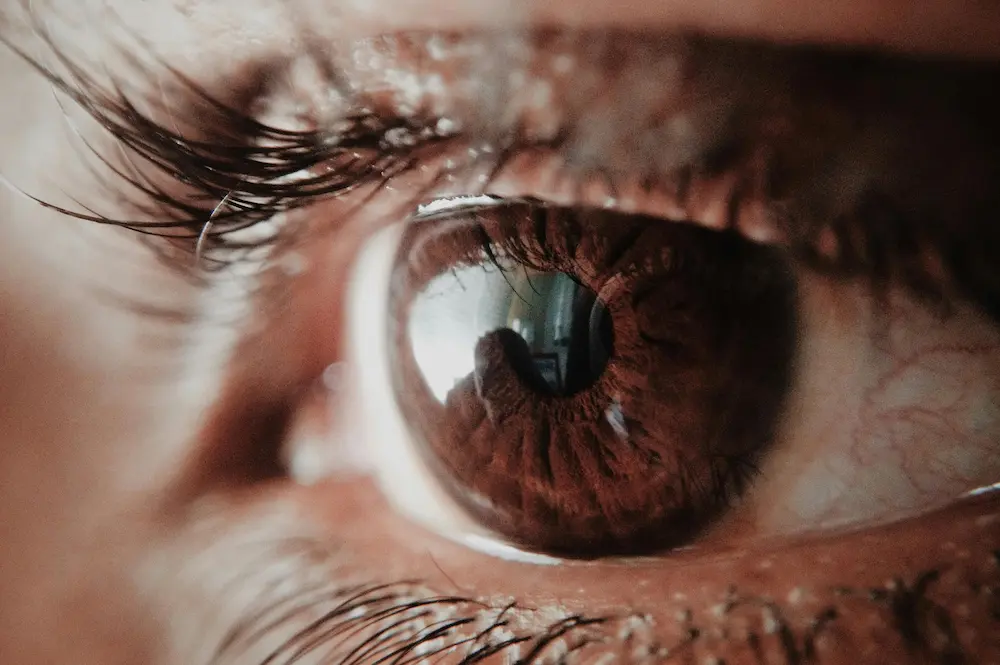 Brown Eye