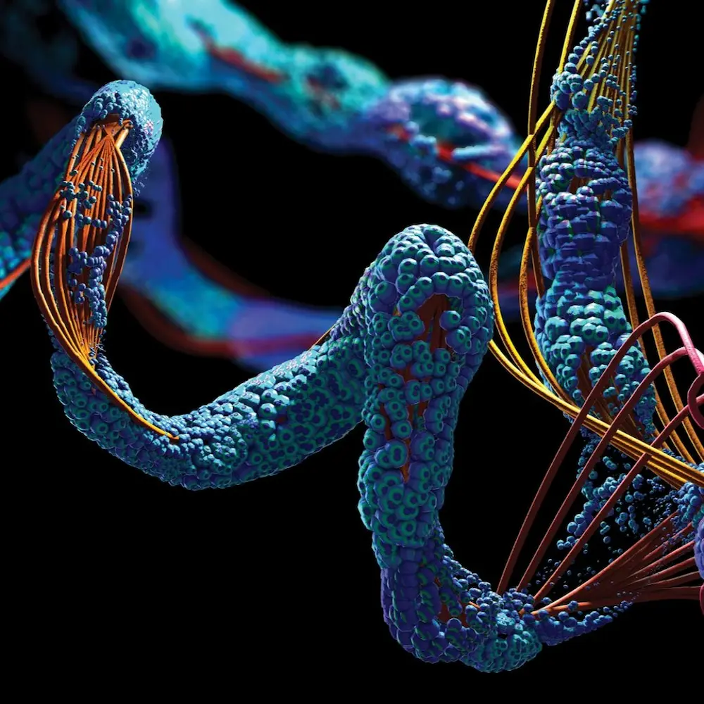 Enzyme strings